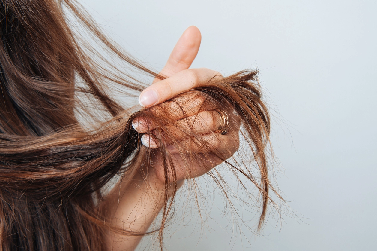 The Best Products for Dry Hair