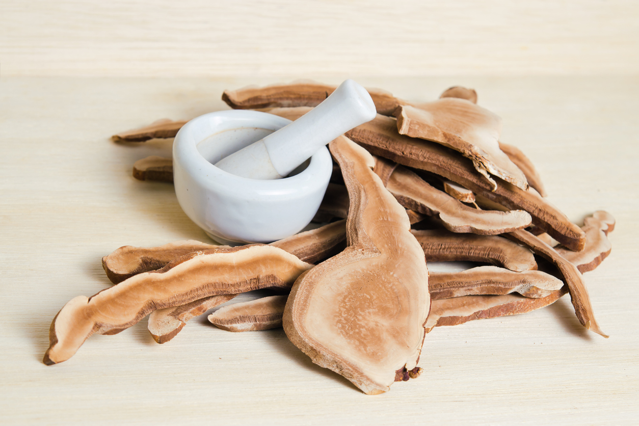 Reishi Mushrooms: An Anti-Aging Power Ingredient