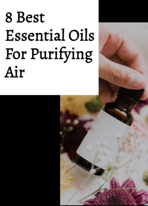 8 Best Essential Oils For Purifying Air