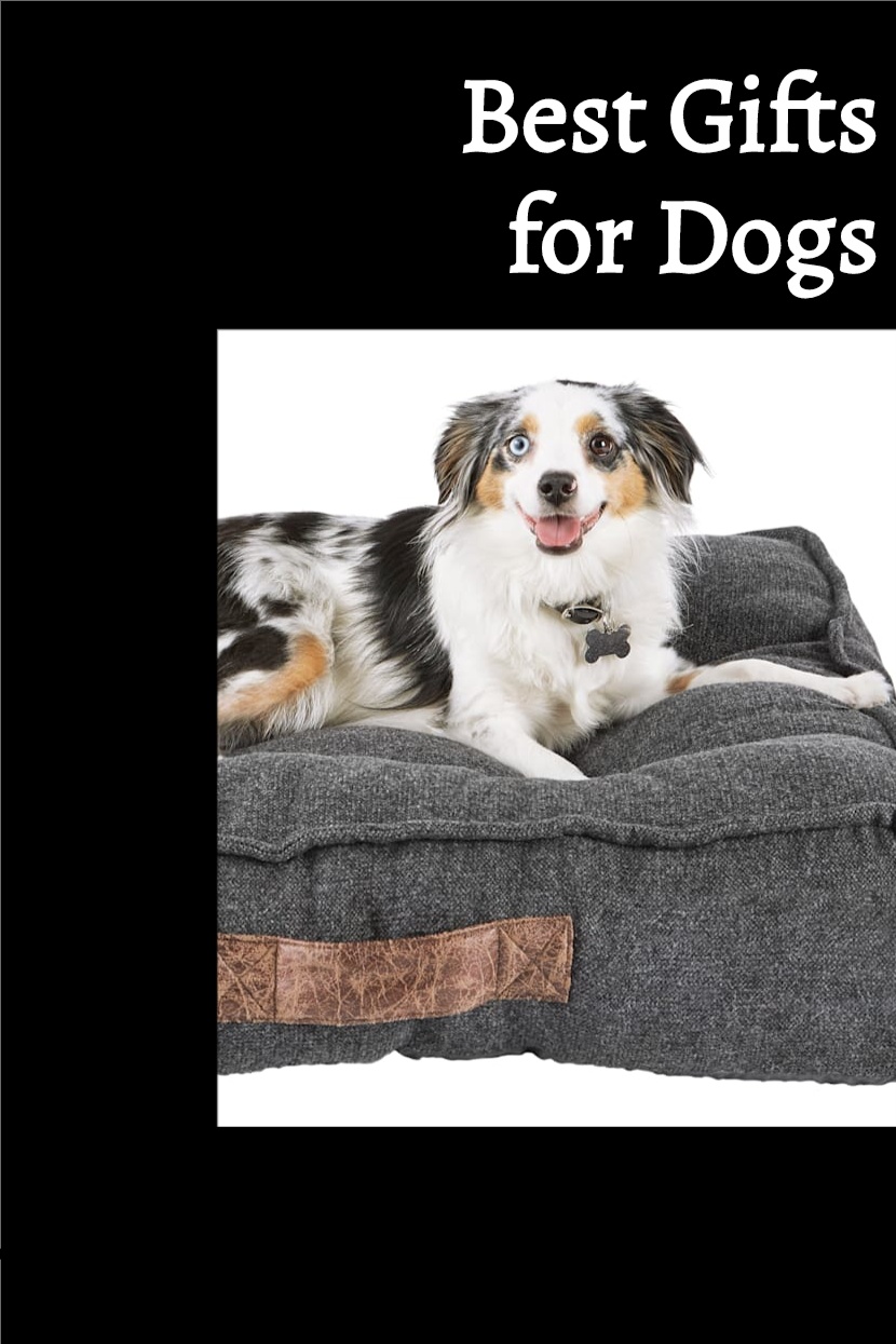 Best gifts for dogs
