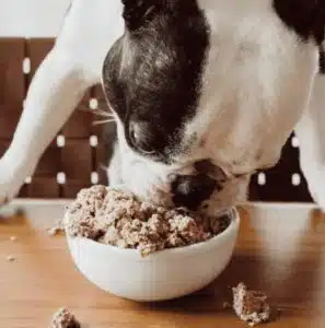 My Ollie Pet Food