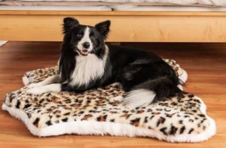 PupRug™ Animal Print Memory Foam Dog Bed - Cheetah Faux Print