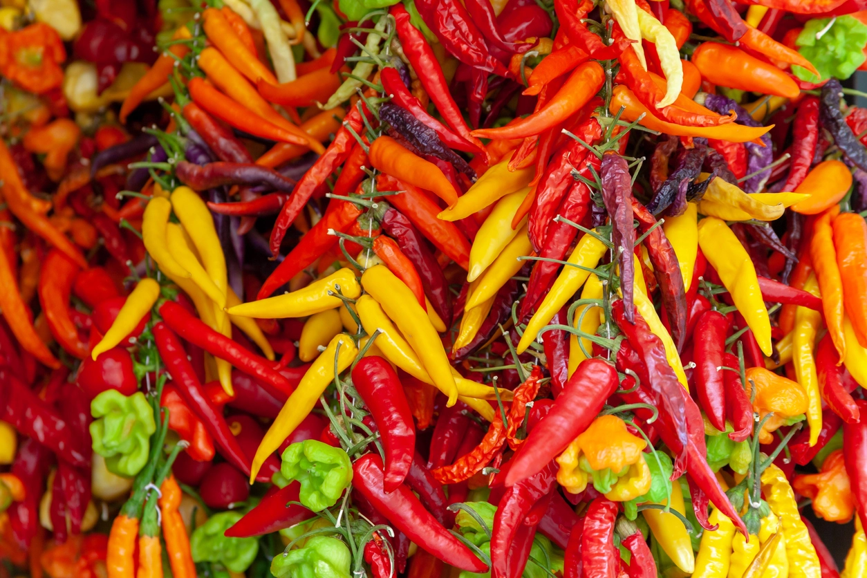health benefits of chili peppers