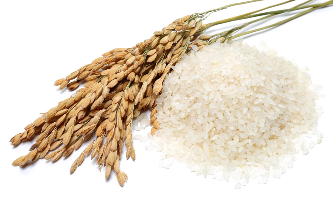 gluten-free grains