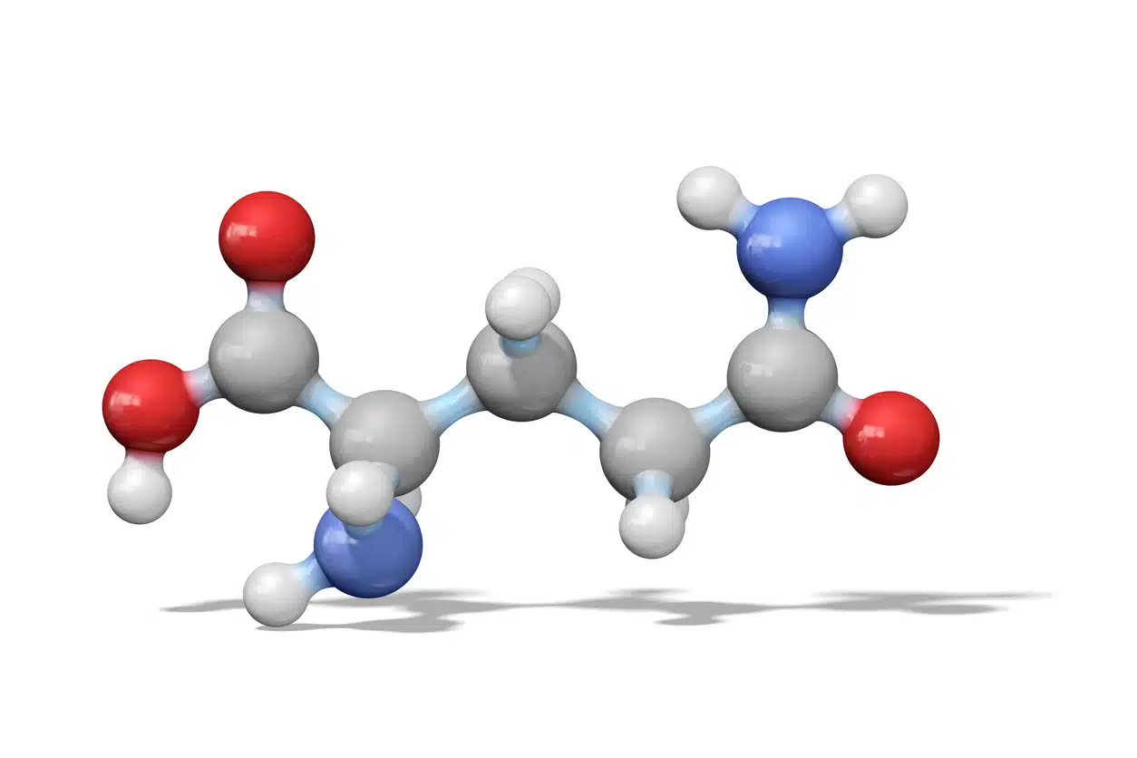 L-Glutamine for weight loss