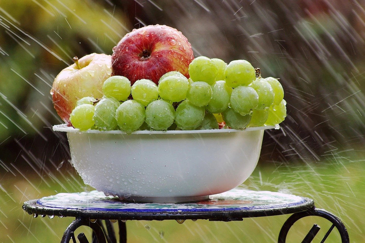 Low Oxalate Diet