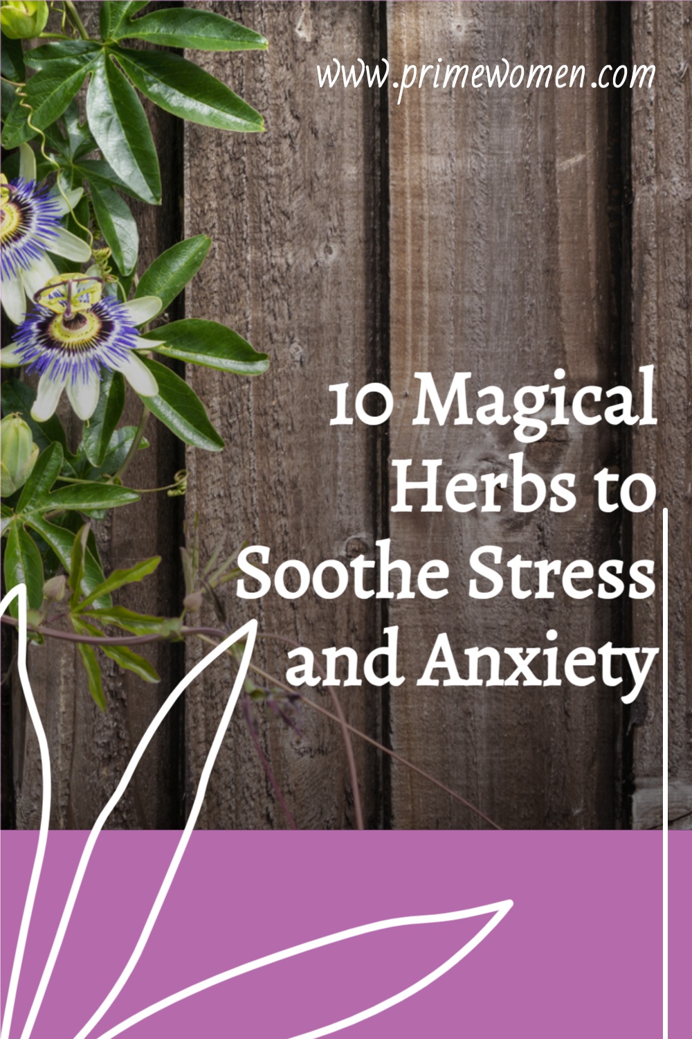 10 Magical Herbs to Soothe Stress and Anxiety