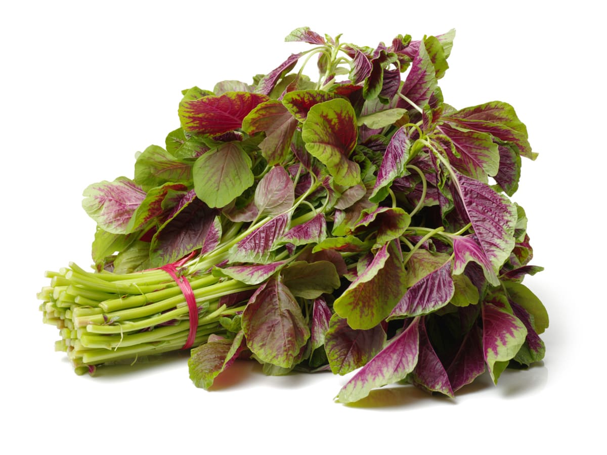 Amaranth Greens in white background