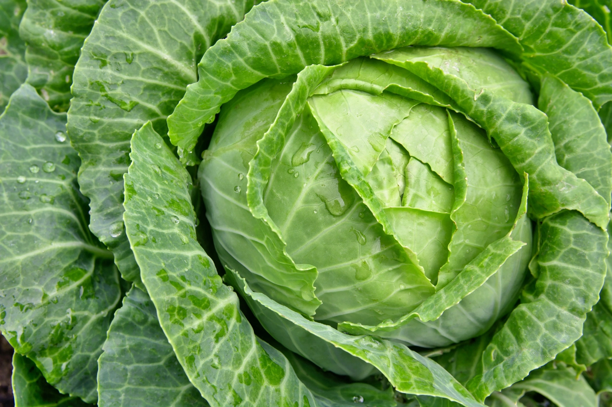 Everything you need to know about Vitamin U