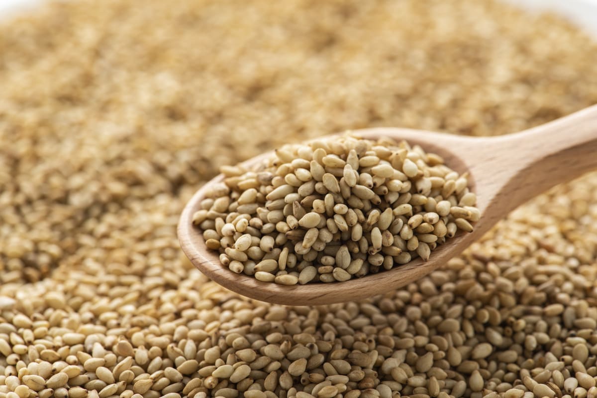 Sesame Seeds