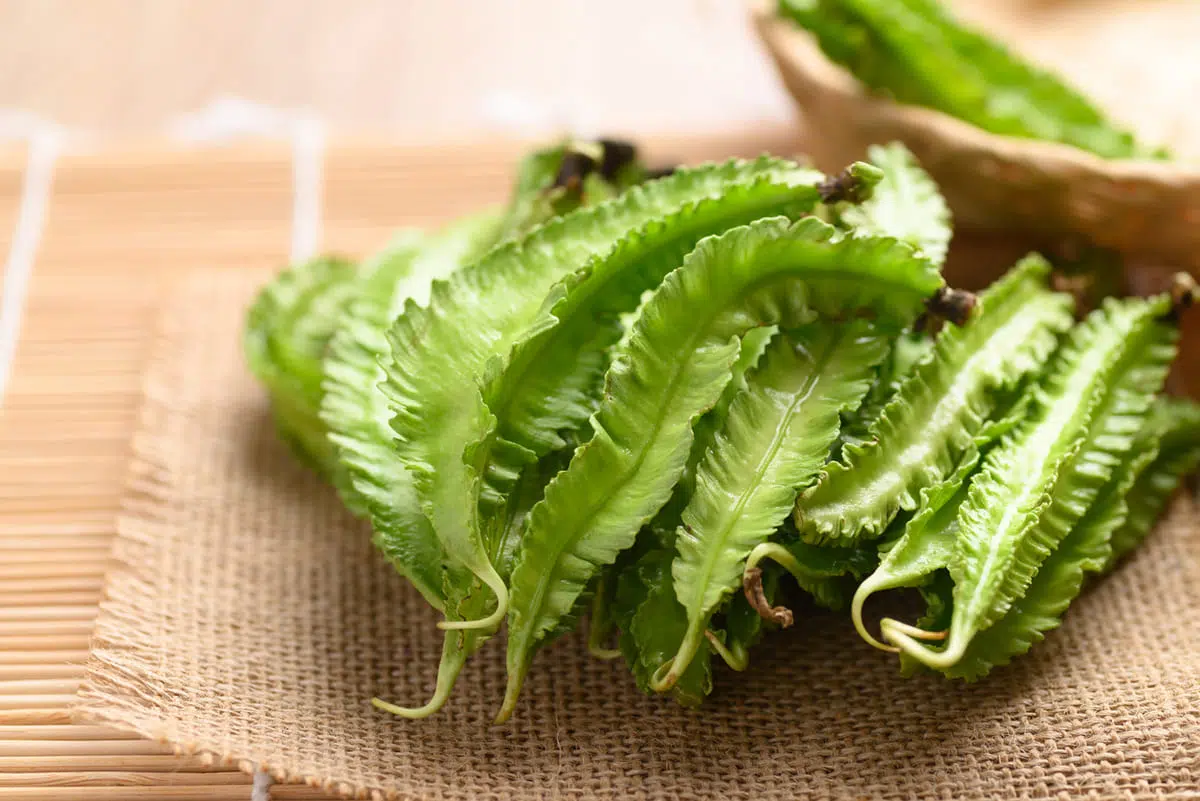 Winged beans