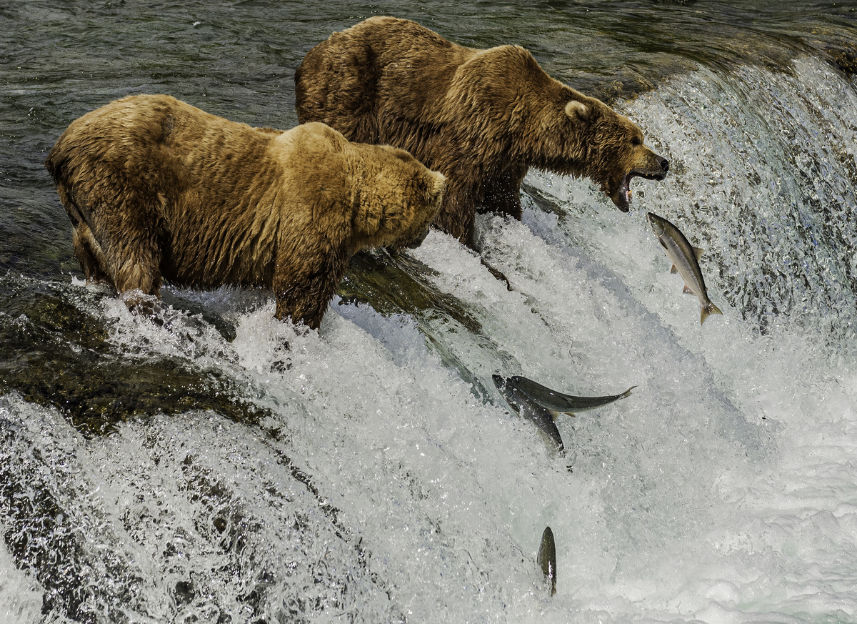 top 25 experiences of the well traveled