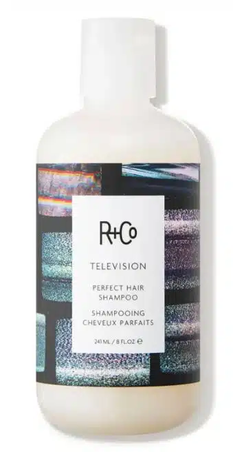 R+Co TELEVISION Perfect Hair Shampoo