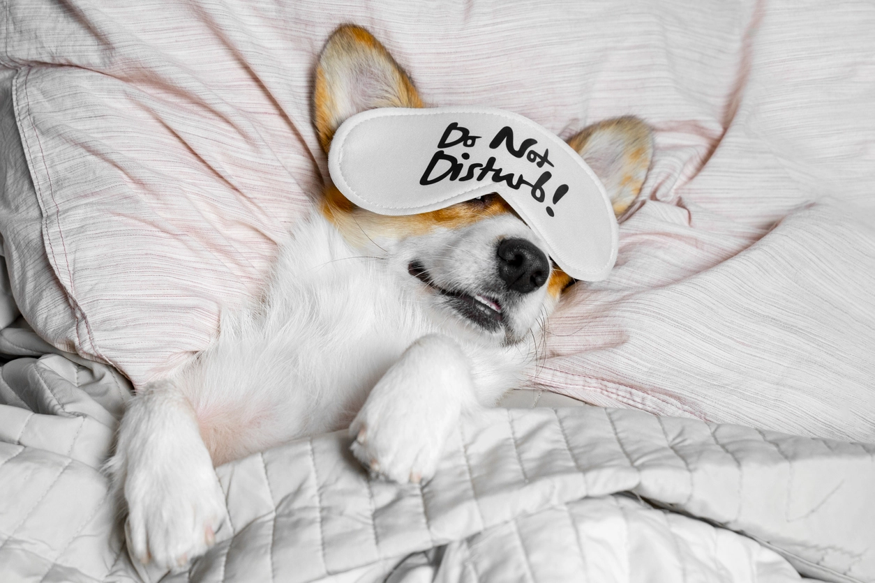 Natural Sleep Aids