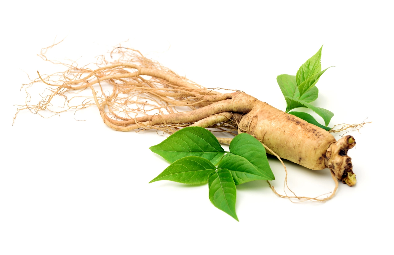 Ginseng herbs and supplements for menopause.