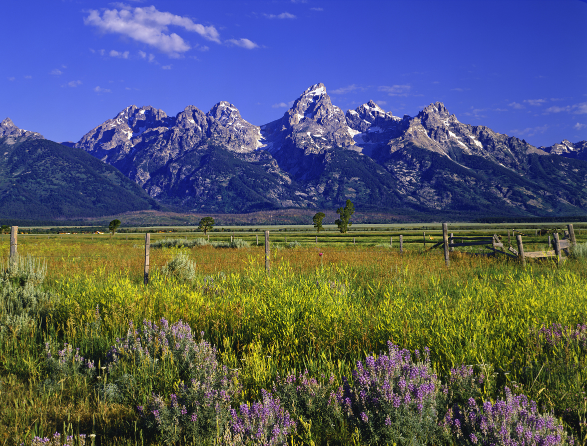 Jackson Hole, Wyoming