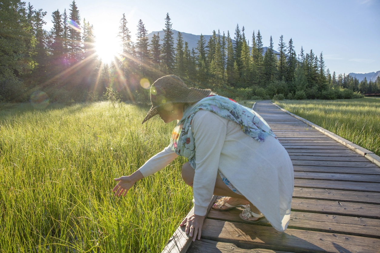 Sensory Wellness