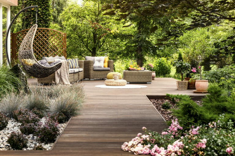 Backyard oasis