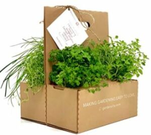 Collection d'herbes Gardenuity