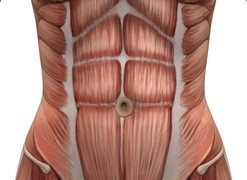 Strengthen your core abdominal muscles