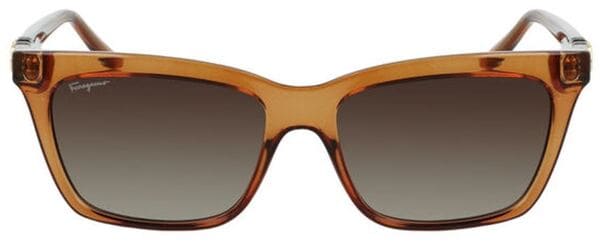 Eyeconic Salvatore Ferragamo Sunglasses