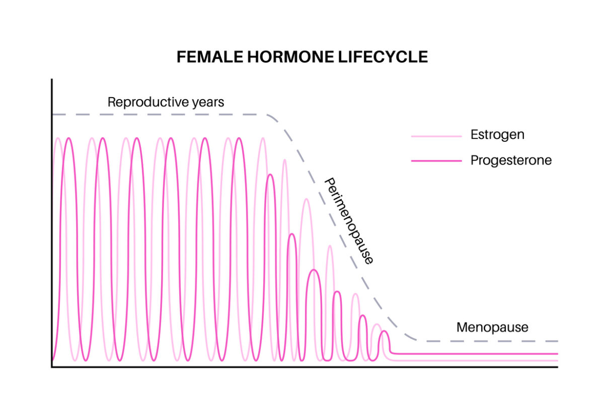 Female hormones lifestyle graph.