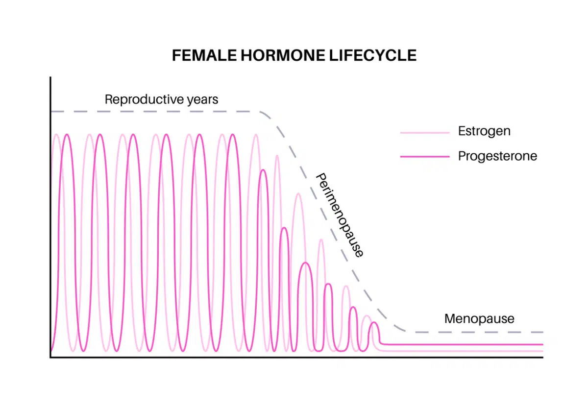 Female hormones lifestyle graph.