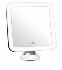 Wayfair Lighted Magnifying Makeup