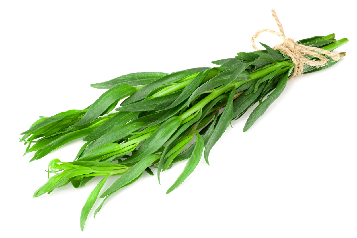 Tarragon leaves for tarragon potato salad