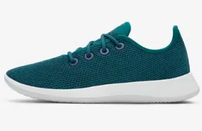 Allbirds Tree Runners