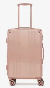 Calpak Ambeur Carry On Luggage