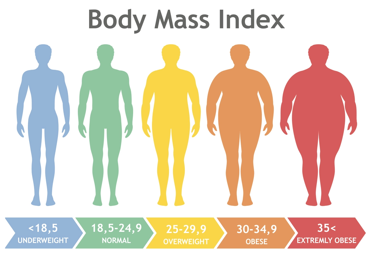 Your BMI percentage shows which category of health you're in