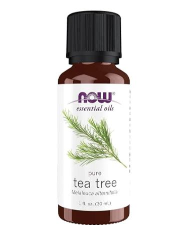 Best Air-Purifying Essential Oils Tea Tree Oil