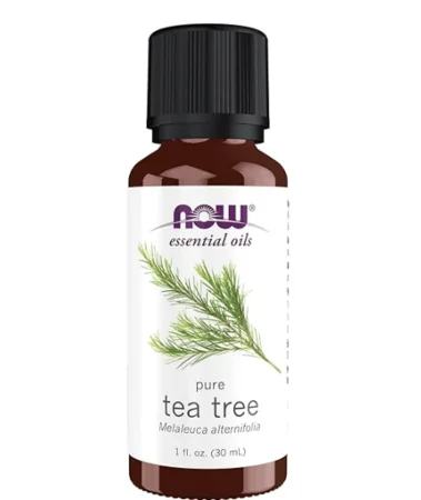 Best Air-Purifying Essential Oils Tea Tree Oil
