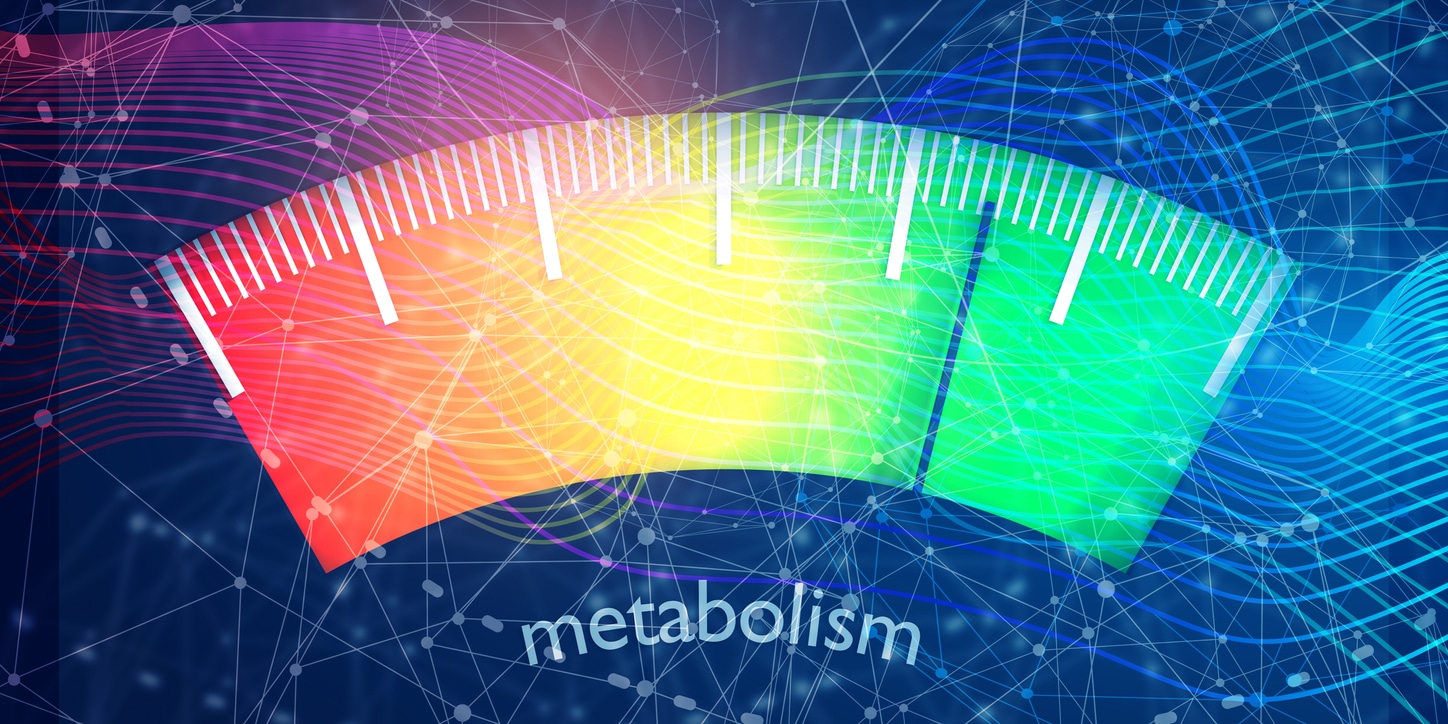 Meter showing metabolism