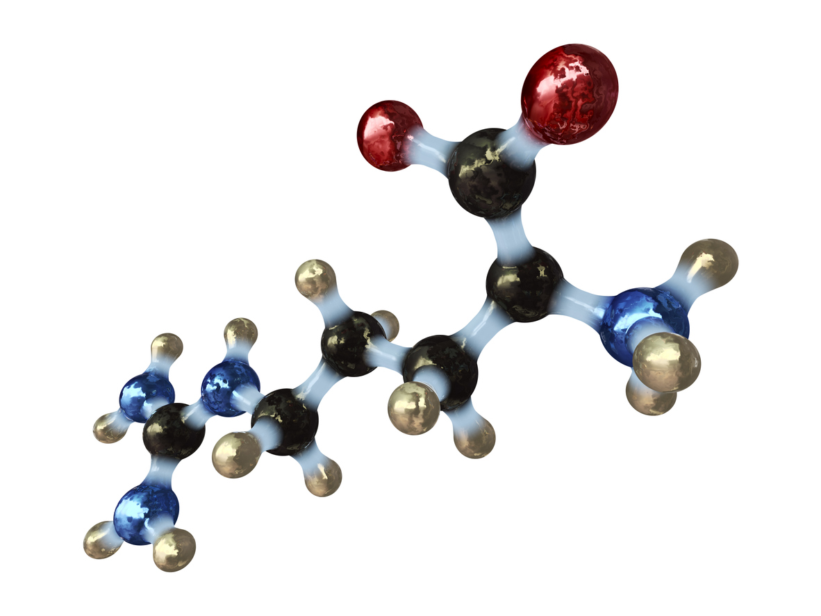 Image of an Amino Acids