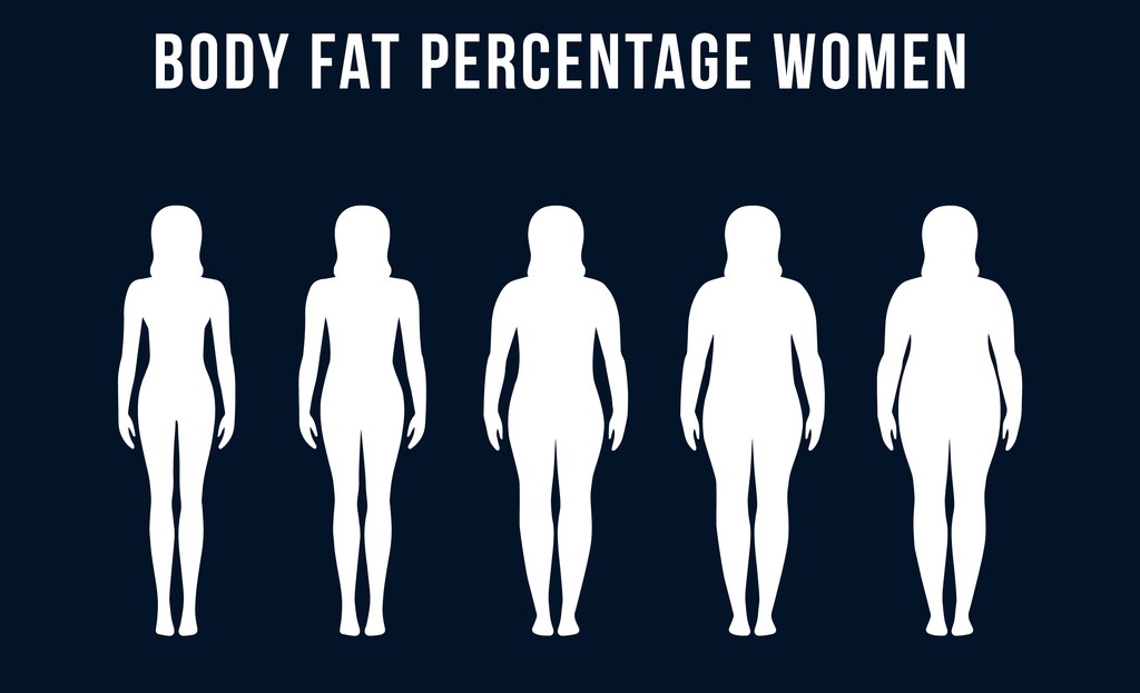 body fat percentage vector for woman