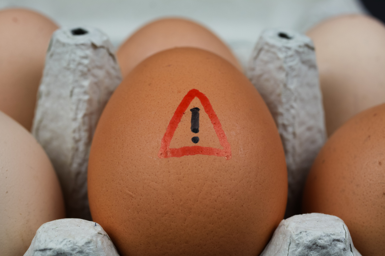Eggs as food allergies or part of elimination diet