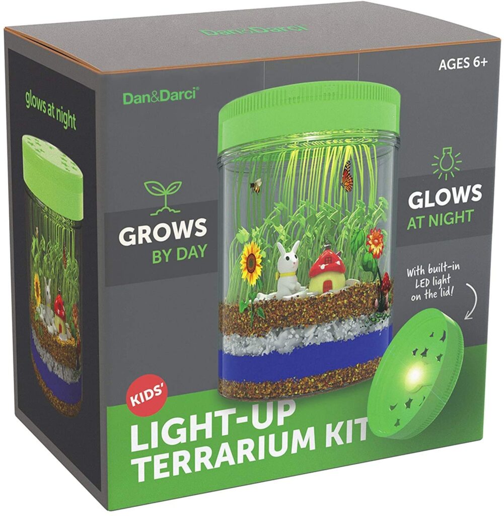 Dan and Darci Light-up Terrarium Kit for kids