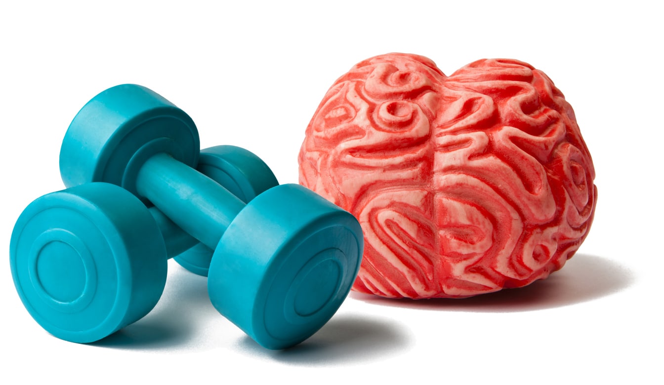 Brain and Exercise