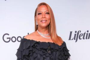 Best highlights for black hair