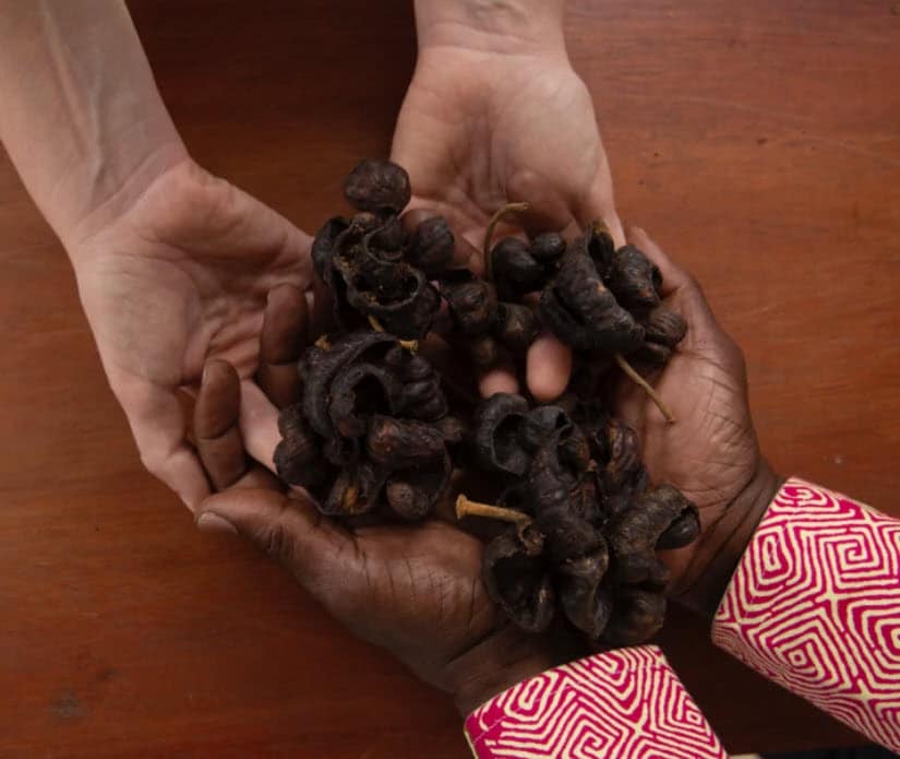 This African “SpiceFruit” Can Reduce Body Fat & Trim Your Waist