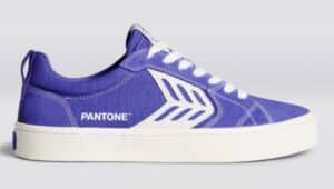 Pantone Very Peri Shoes