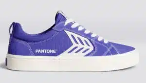 Pantone Very Peri Shoes