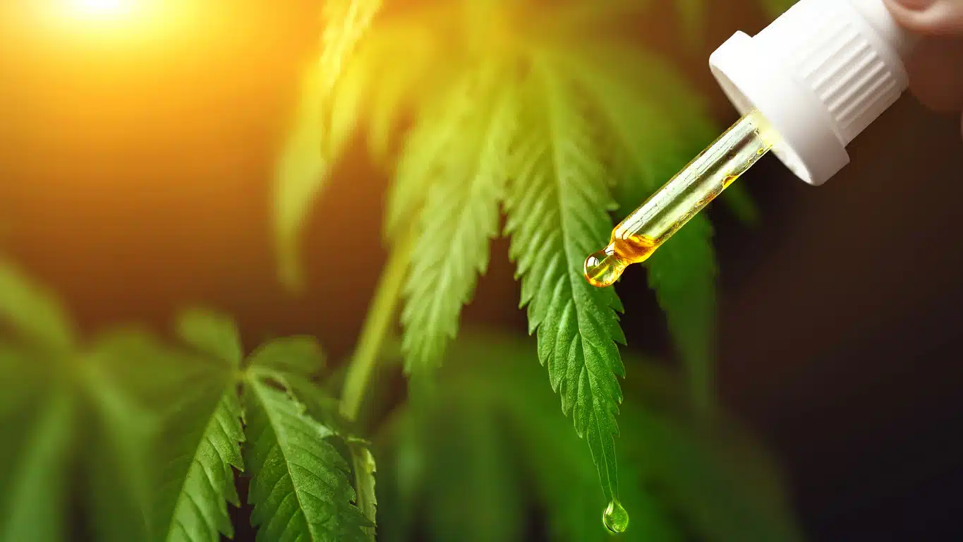 CBD as a possible treatment for Covid