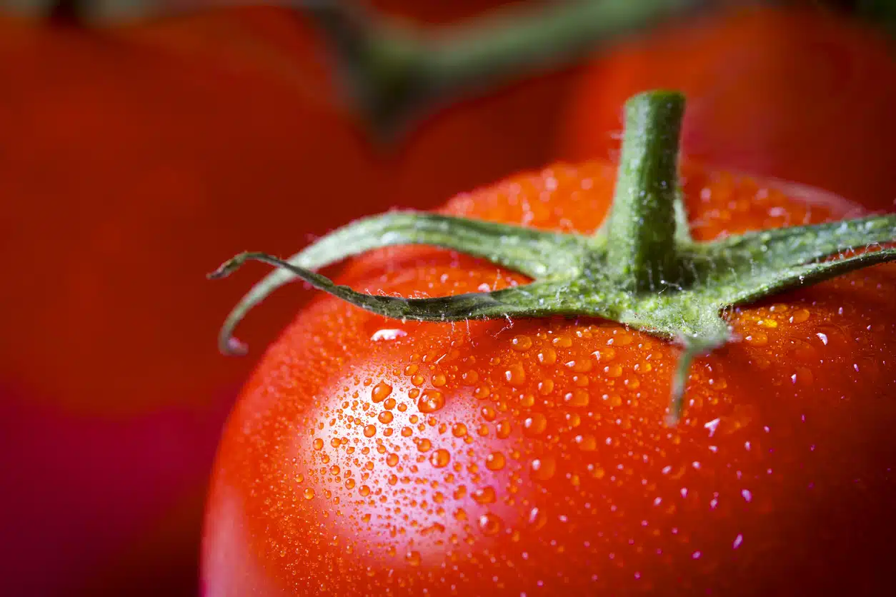 Tomatoes