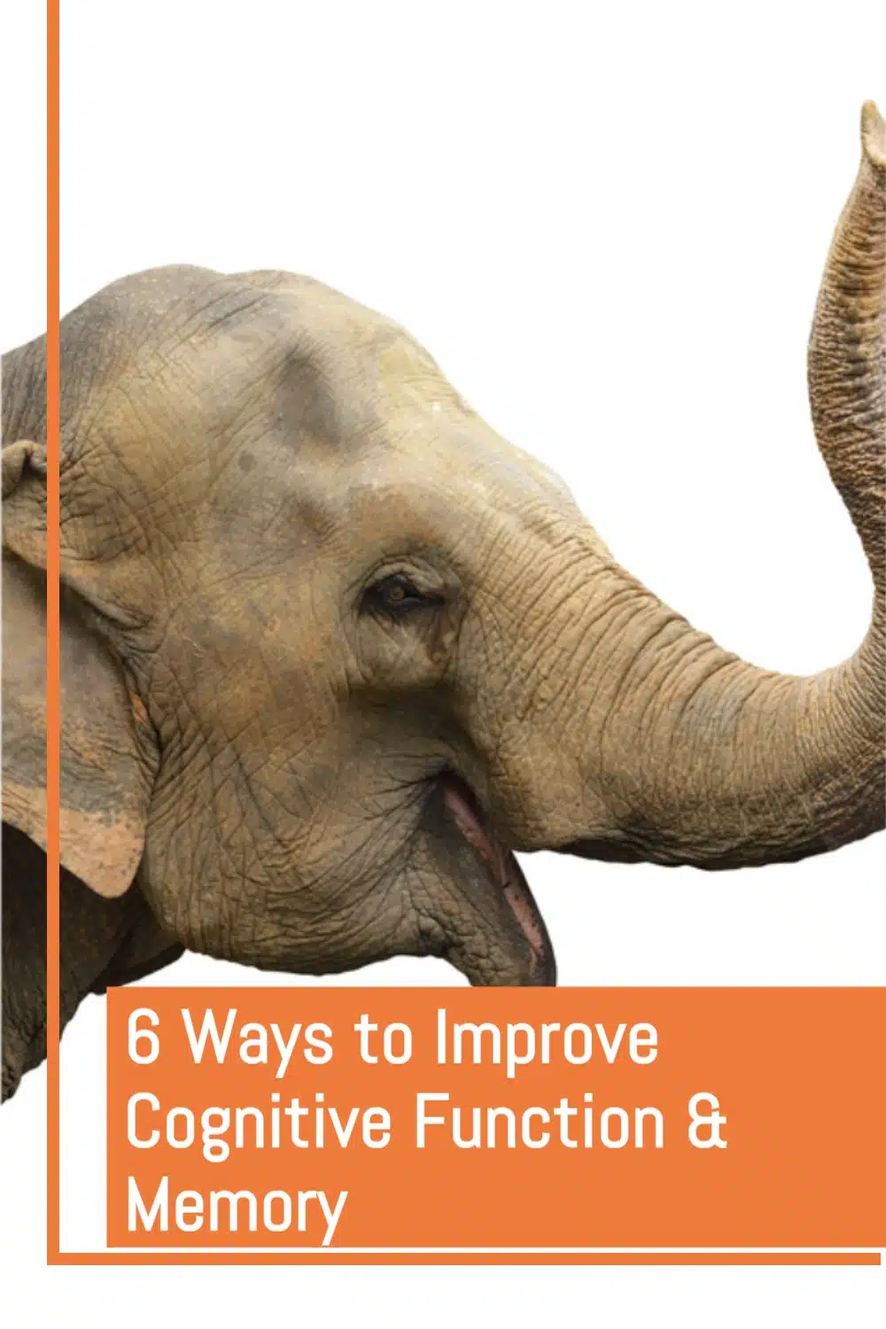 6 Ways to Improve Cognitive Function and Memory