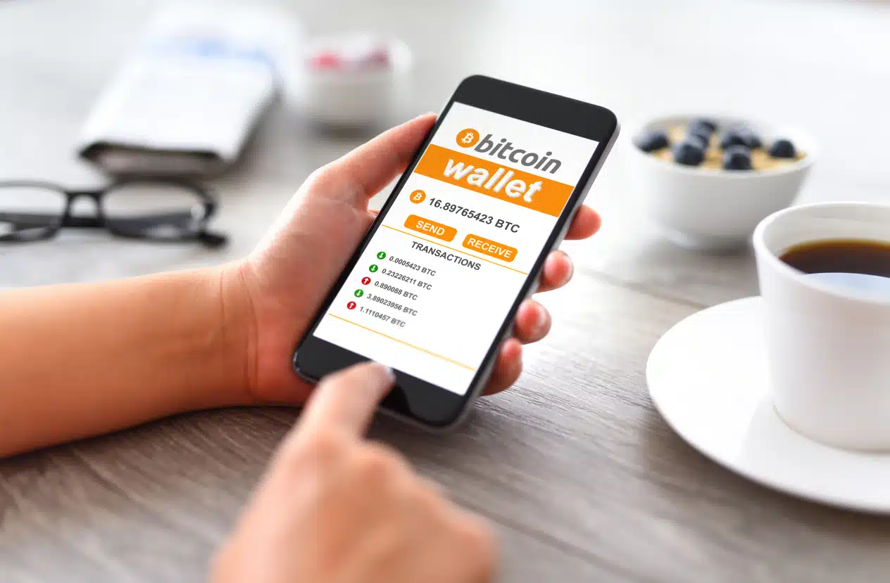 Bitcoin wallet for payment method