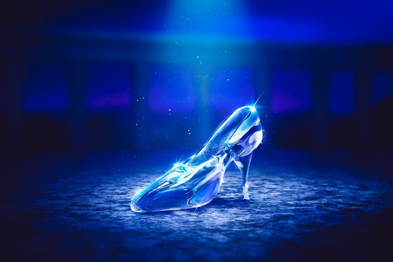 Cinderella Solution Diet: Is It Worth It?