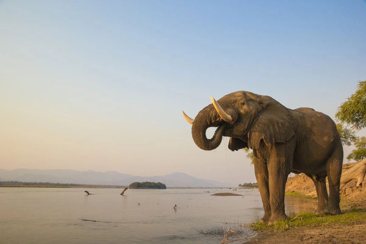 Sindabezi Island, Zambia